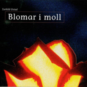 Blomar I Moll