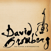 I Like To Sleep Late In The Morning by David Bromberg