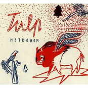 Metronom Tulp