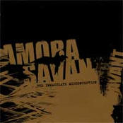 The Immaculate Misconception by Amora Savant
