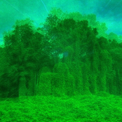 Traces Of Astral Light