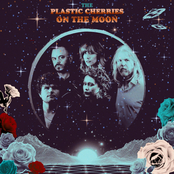 The Plastic Cherries: The Plastic Cherries On The Moon