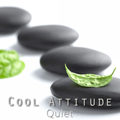 Cool Attitude: Quiet