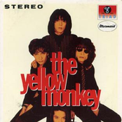 追憶のマーメイド by The Yellow Monkey