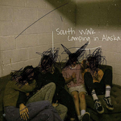 Camping in Alaska - Single