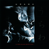 A Dog Called Demolition