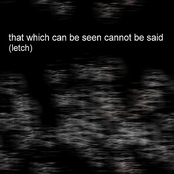that which can be seen cannot be said (letch)