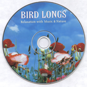 Bird Longs [Inspiration and Meditation]