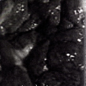 Chopped Internal Organs