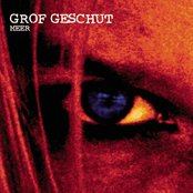 Nooit Om Gevraagd by Grof Geschut