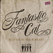 Fantastic Cat: Keep Me In Your Heart