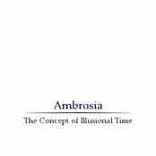 The Concept of Illusional Time