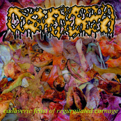 Cadaveric Feast Of Regurgitated Carnage