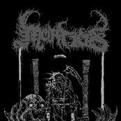 Shepherding The Weak