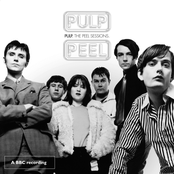 Theme From Peter Gunn by Pulp