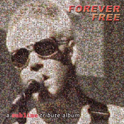 If All Else Fails: Forever Free: A Sublime Tribute Album