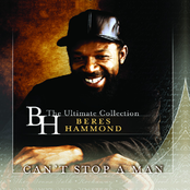 No Disturb Sign by Beres Hammond