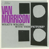 Stop Drinking by Van Morrison