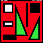 Nobody Takes Me Seriously by Split Enz