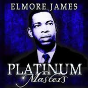 Whose Muddy Shoes by Elmore James