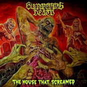 The House That Screamed