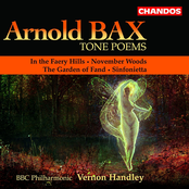 Bax: Tone Poems, Vol. 1 - In the Faery Hills / November Woods / the Garden of Fand / Sinfonietta