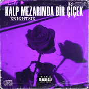 Kalp mezarında bir çiçek