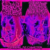 Cranial Decimation