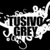 Pigs in their Element