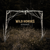 Wild Horses: Runaway