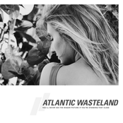 Atlantic Wasteland: You'll Never See the Bigger Picture If You're Standing That Close