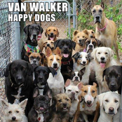 Happy Dogs