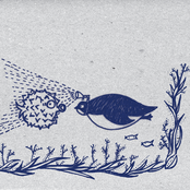 Explorer's Club: 8.Reykjavik-Dublin