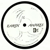 Earth Awakes / Net of Being