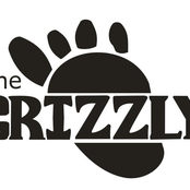 the grizzly