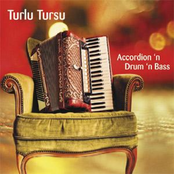 Oriental Klezmer Dub by Turlu Tursu