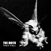 The Moth: They Fall