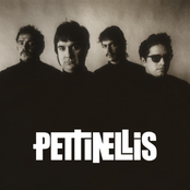 Pettinellis