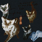 Waking up at my Black Cat's Side