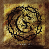 Carry On Dancing by Entwine