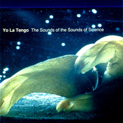 How Some Jellyfish Are Born by Yo La Tengo