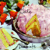 Dreamcake