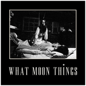 Doesn't Make Much Sense by What Moon Things
