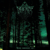 Что помнит лес