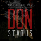 Don Status