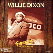 Save My Child by Willie Dixon