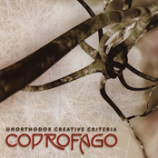 Constriction by Coprofago