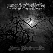 Luna Nocturnalis