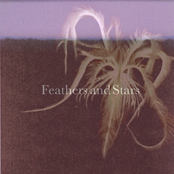 Feathers and Stars