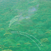 AMBIENTAL -Music for Oriental Hotel Okinawa Resort & Spa-